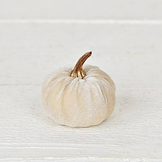 31343- Bag of 6 velvet 2in pumpkins with gold stem