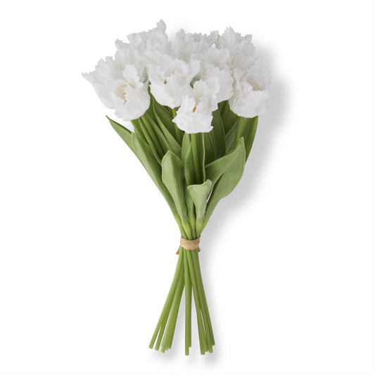 13" Parrot Tulip Bundle 12 Stems