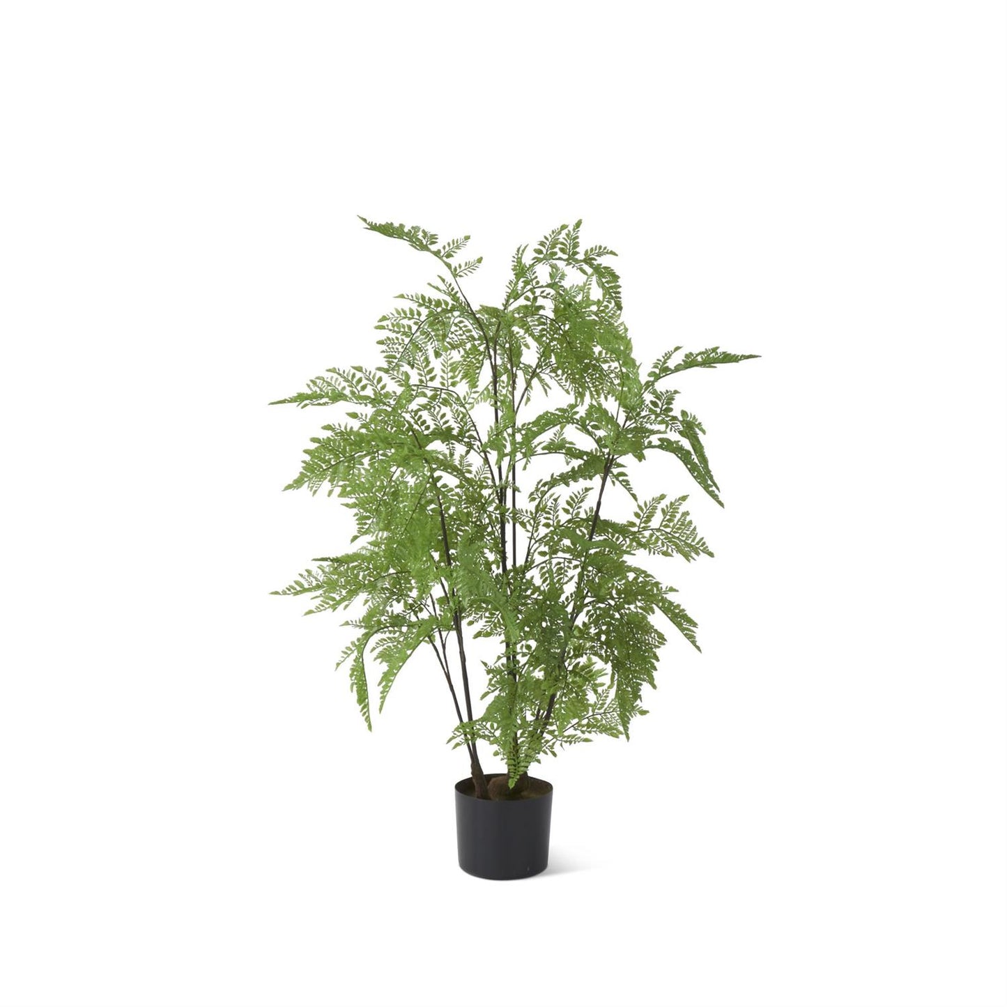 3' Potted Fern Tree