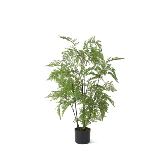 3' Potted Fern Tree