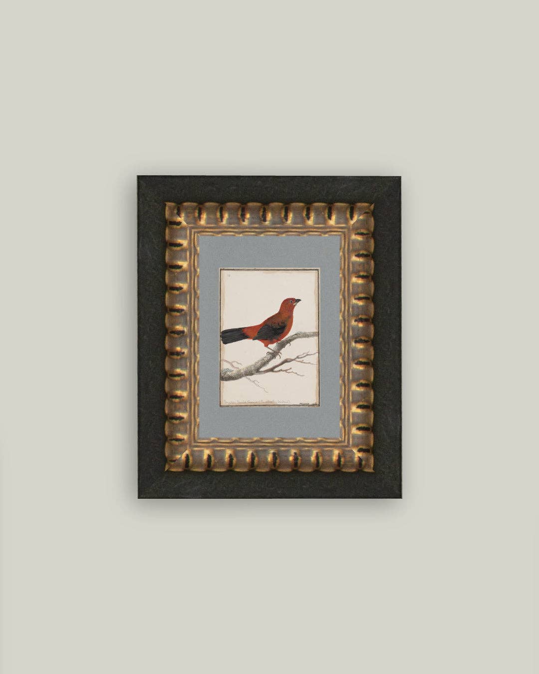 Red Bird Framed Antique Art