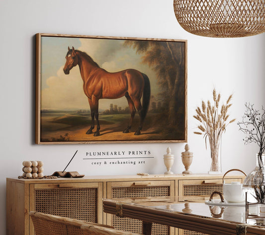Vintage Horse Portrait Oil Painting Framed Canvas Art 2