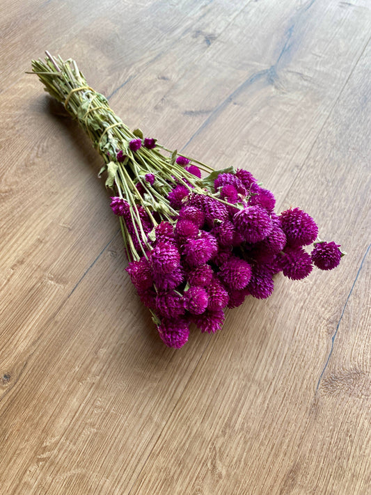 Globe Amaranth - Purple