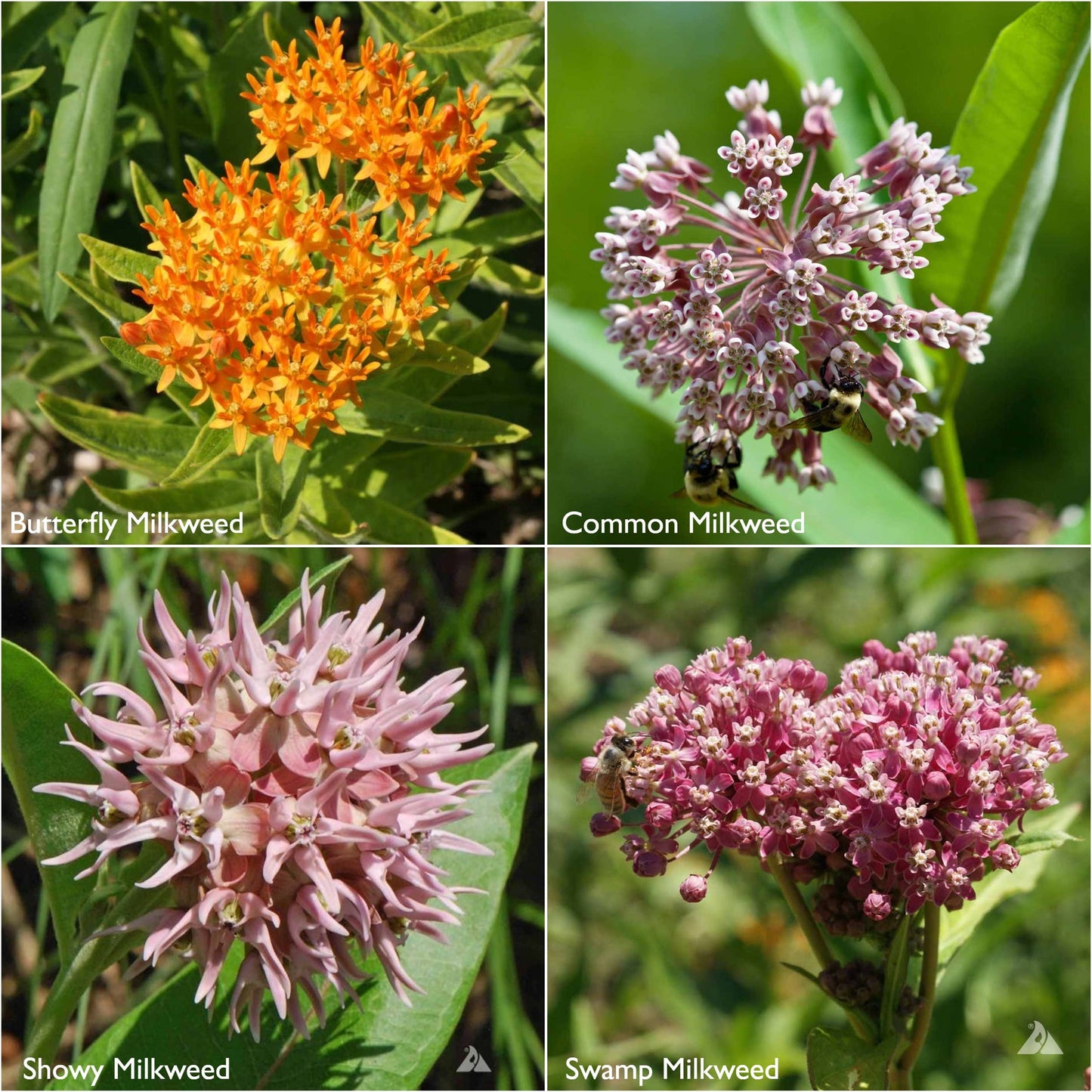 Garden Sprinkles Ornament | Monarch Butterfly Flower Garden
