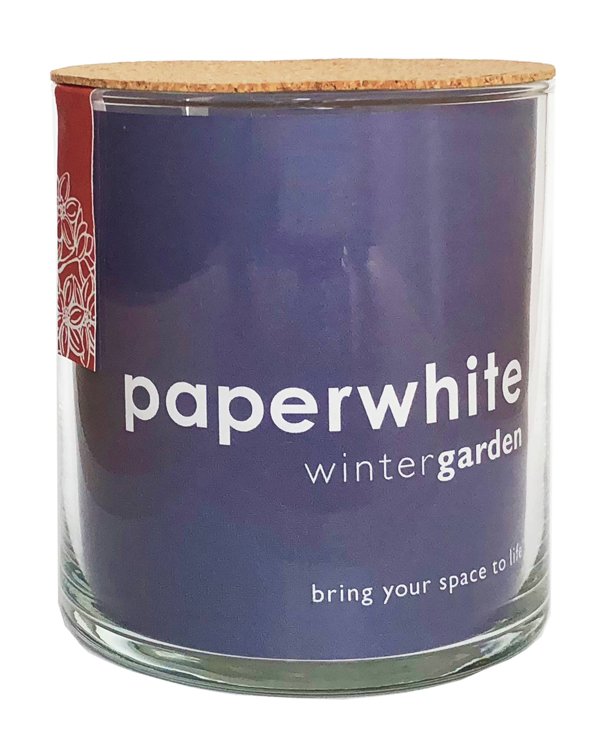 Garden in a Bag Paperwhites | Fall & Christmas