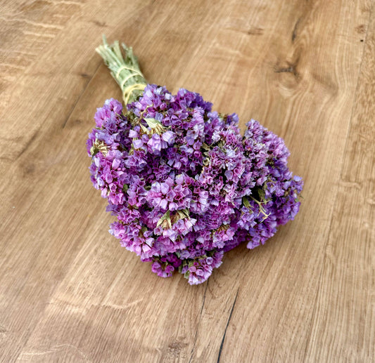 Sinuata Statice - Light Purple