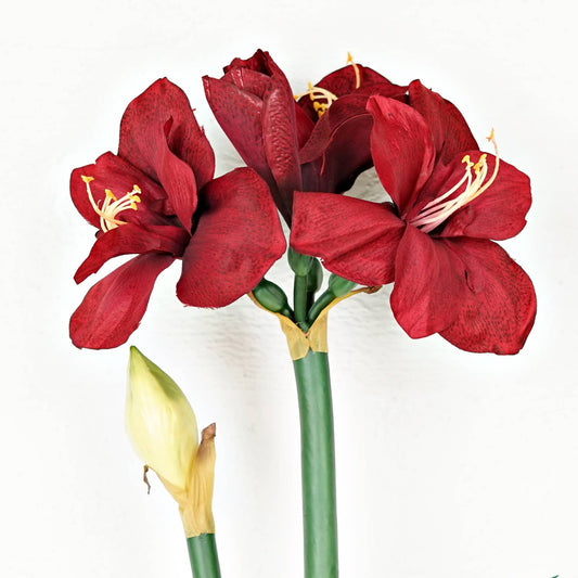 IT052RD- 22" Amaryllis bush x 4 flower w bud and leaf