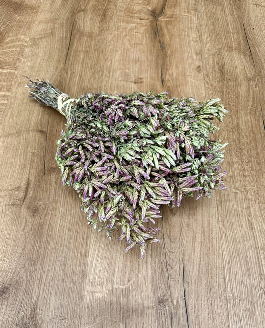 Santa Cruz Oregano