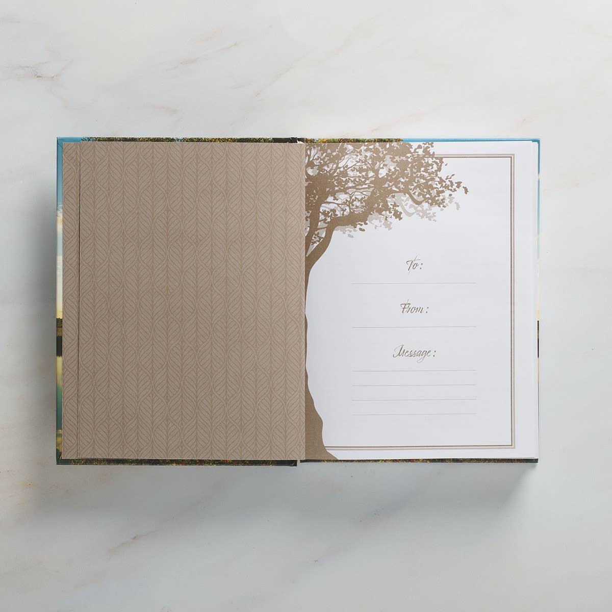 Devotional Rooted in Faith Hardcover