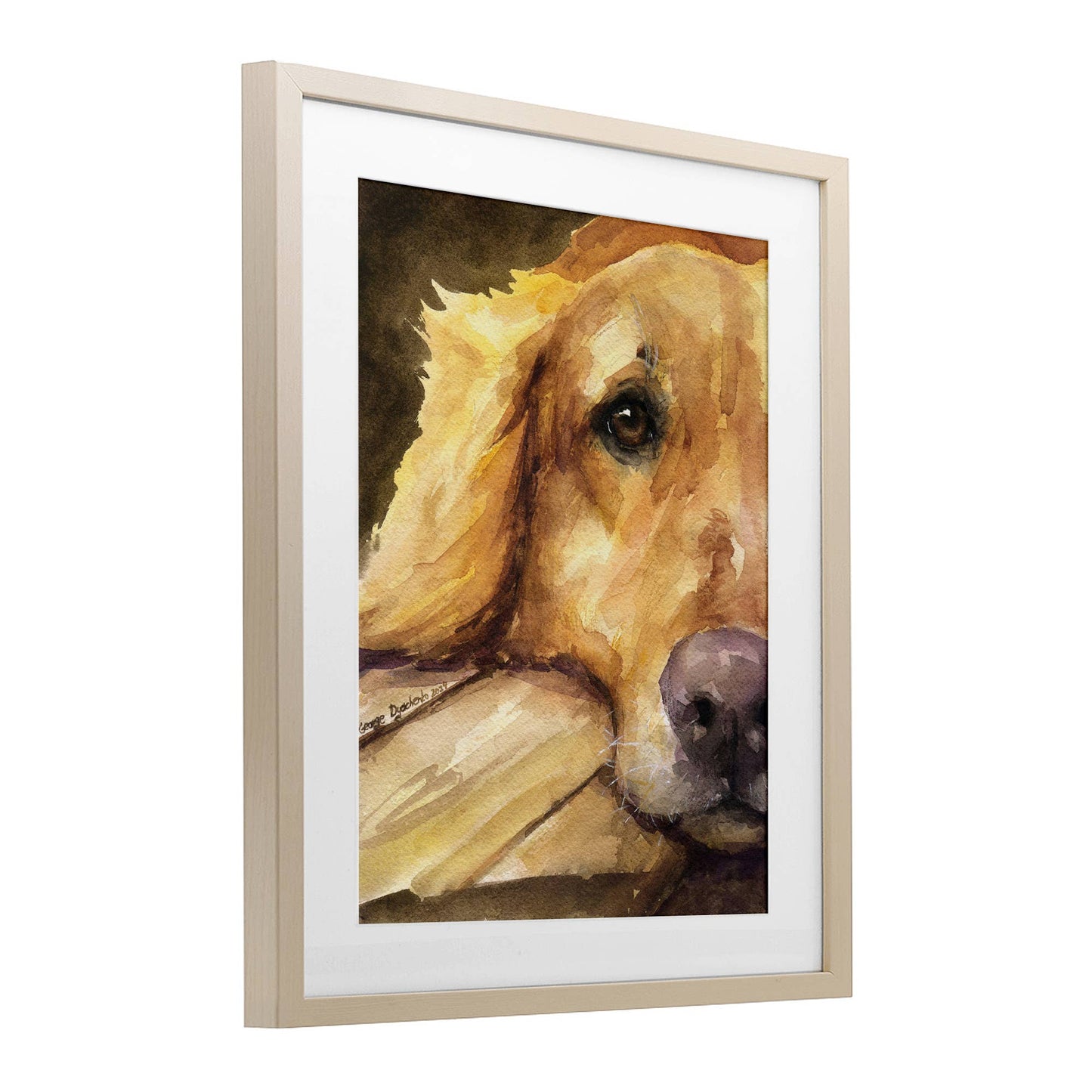 Sight of Golden Retriever - Print Under Glass Wall Art