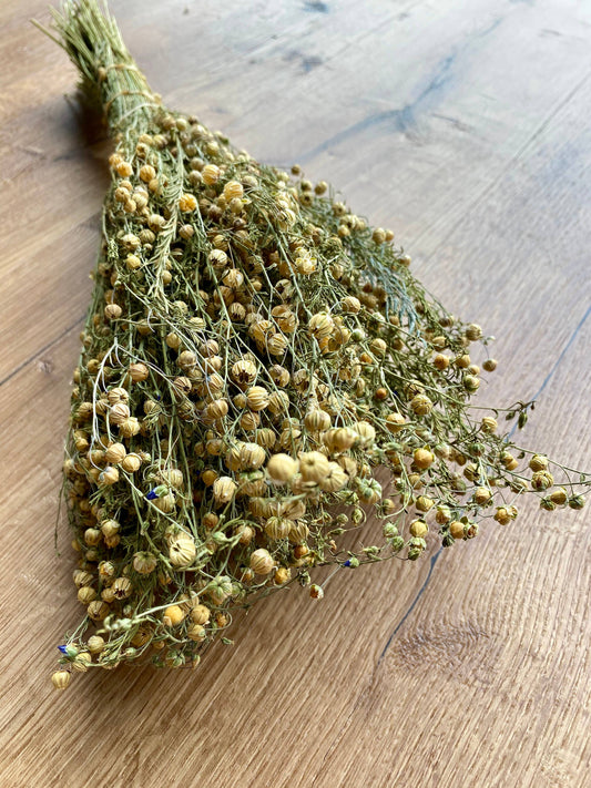 Flax 