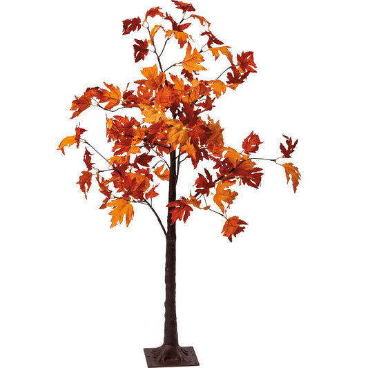 Fall Maple Small Tree