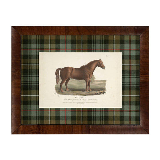 Vintage horse bookplate C matted in green and brown tartan