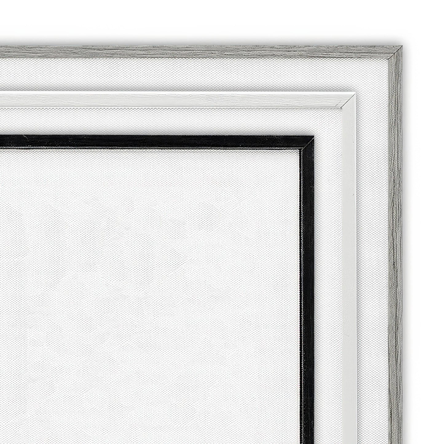 Rope Bordered Fish - Framed Wall Art