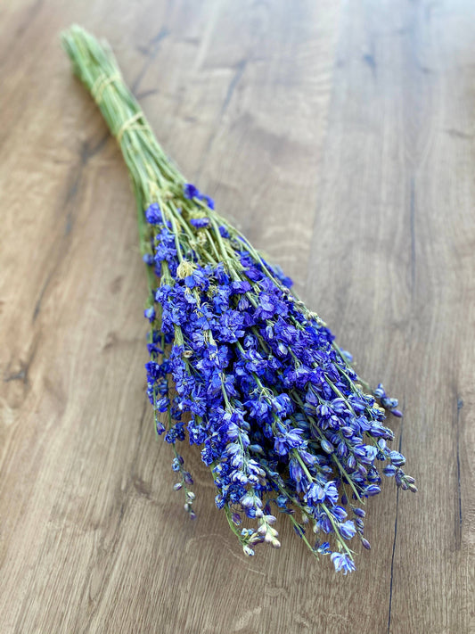 Larkspur - Dark Blue 