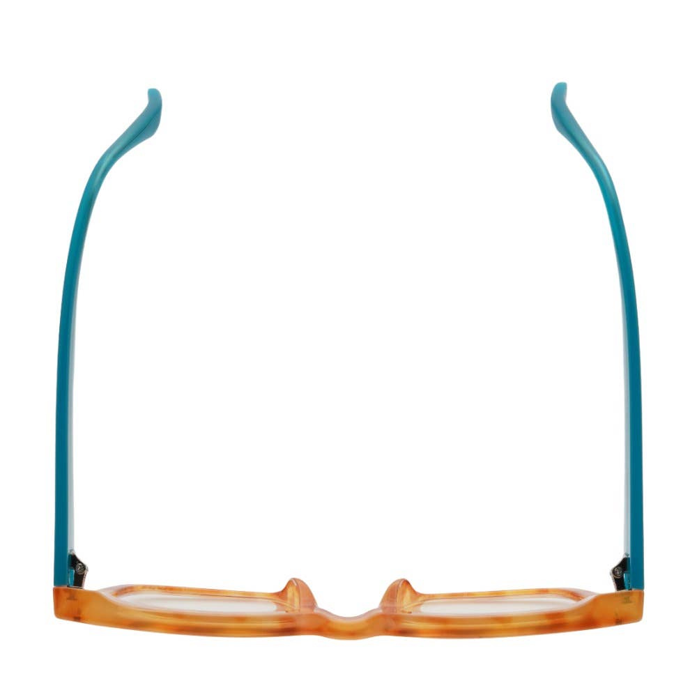 RAZ | Transparent Tortoise | Turquoise