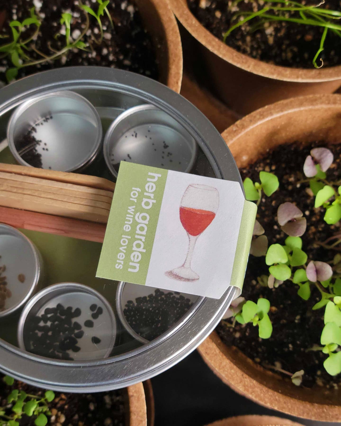 Pocket Garden | Wine Lover's Herbs | Best Seller | Summer