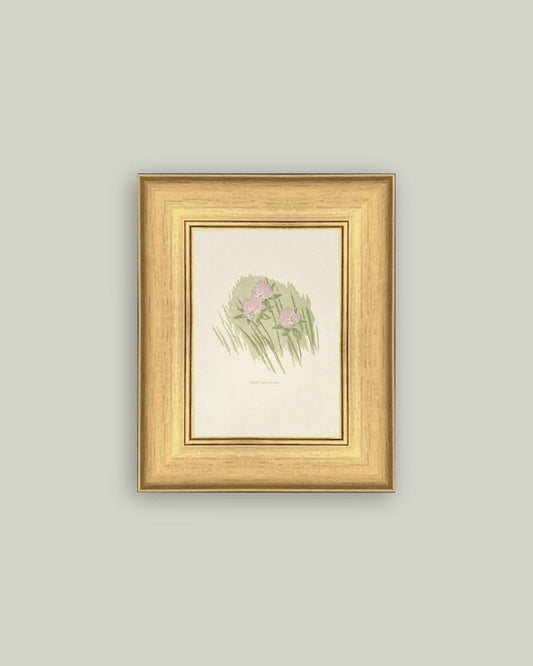 Clover Framed Antique Art