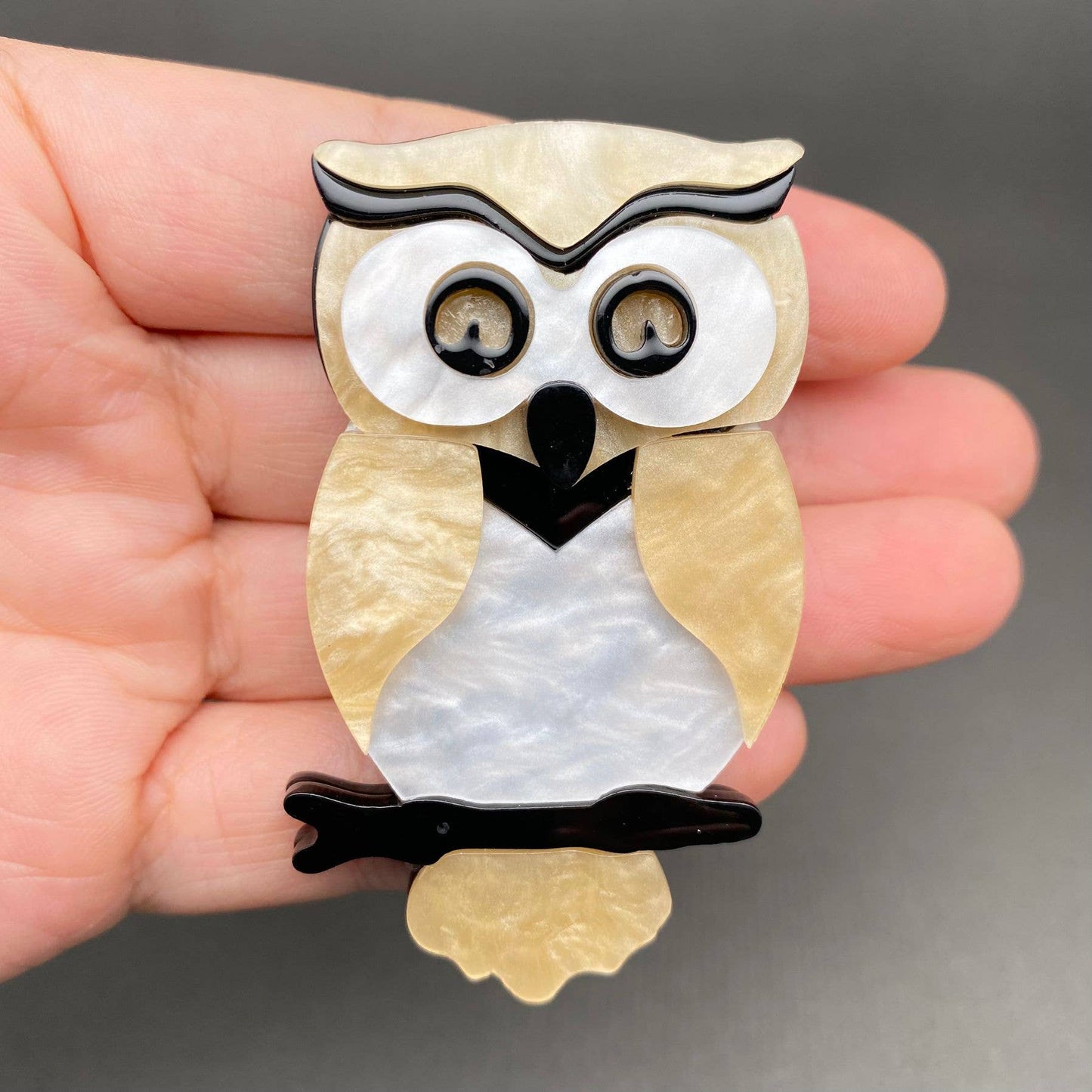 Acrylic Owl Brooch