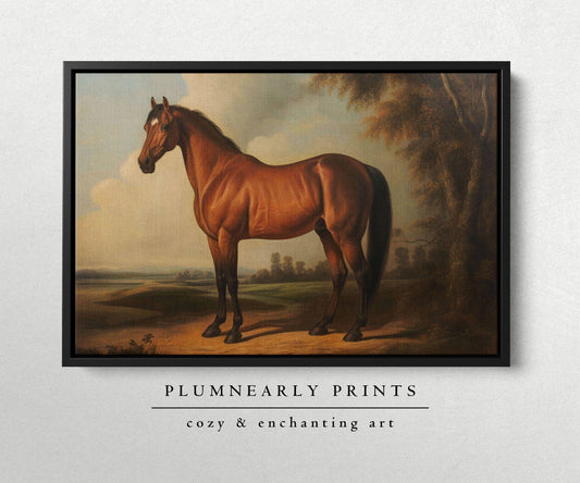 Vintage Horse Portrait Oil Painting Framed Canvas Art 2