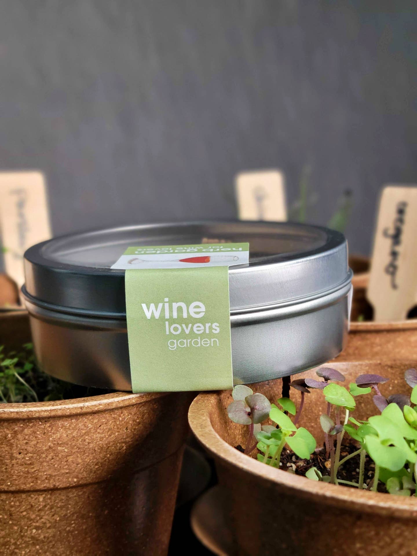Pocket Garden | Wine Lover's Herbs | Best Seller | Summer