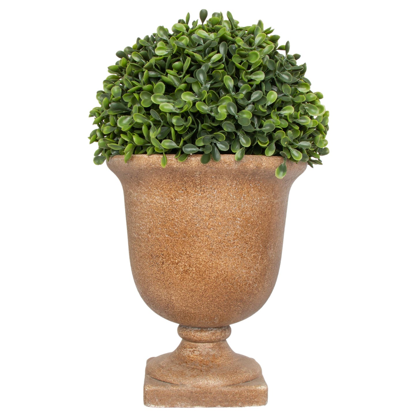 12.5" Tall Boxwood In Urn