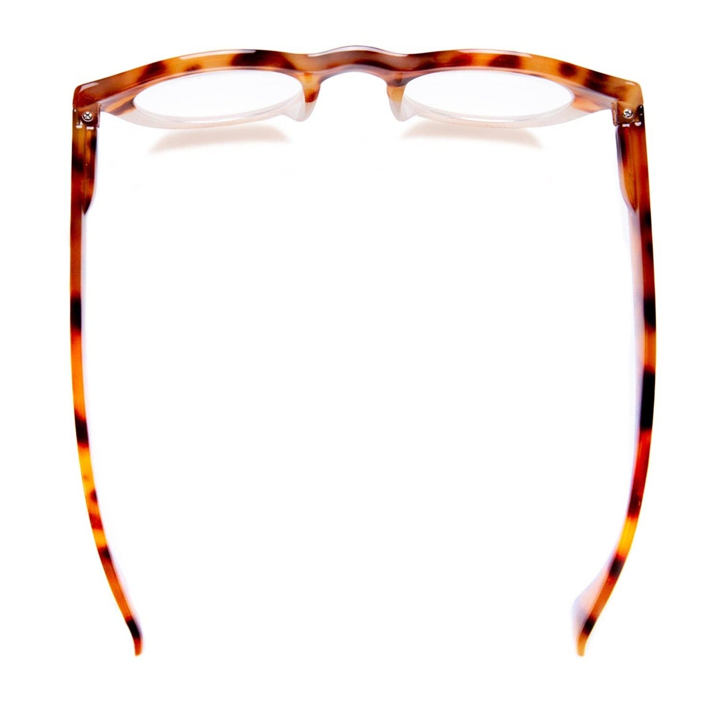 TAYLOR | Amber Tortoise | Ivory | Blue Light