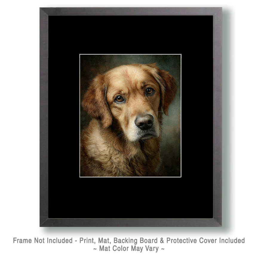Golden Retriever Portrait