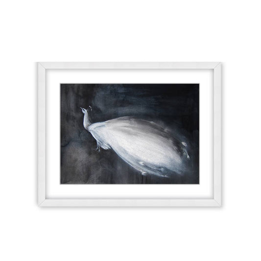 "Portrait of a White Peacock" Framed Print Wall Art