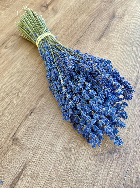 Lavender - Dark Purple 