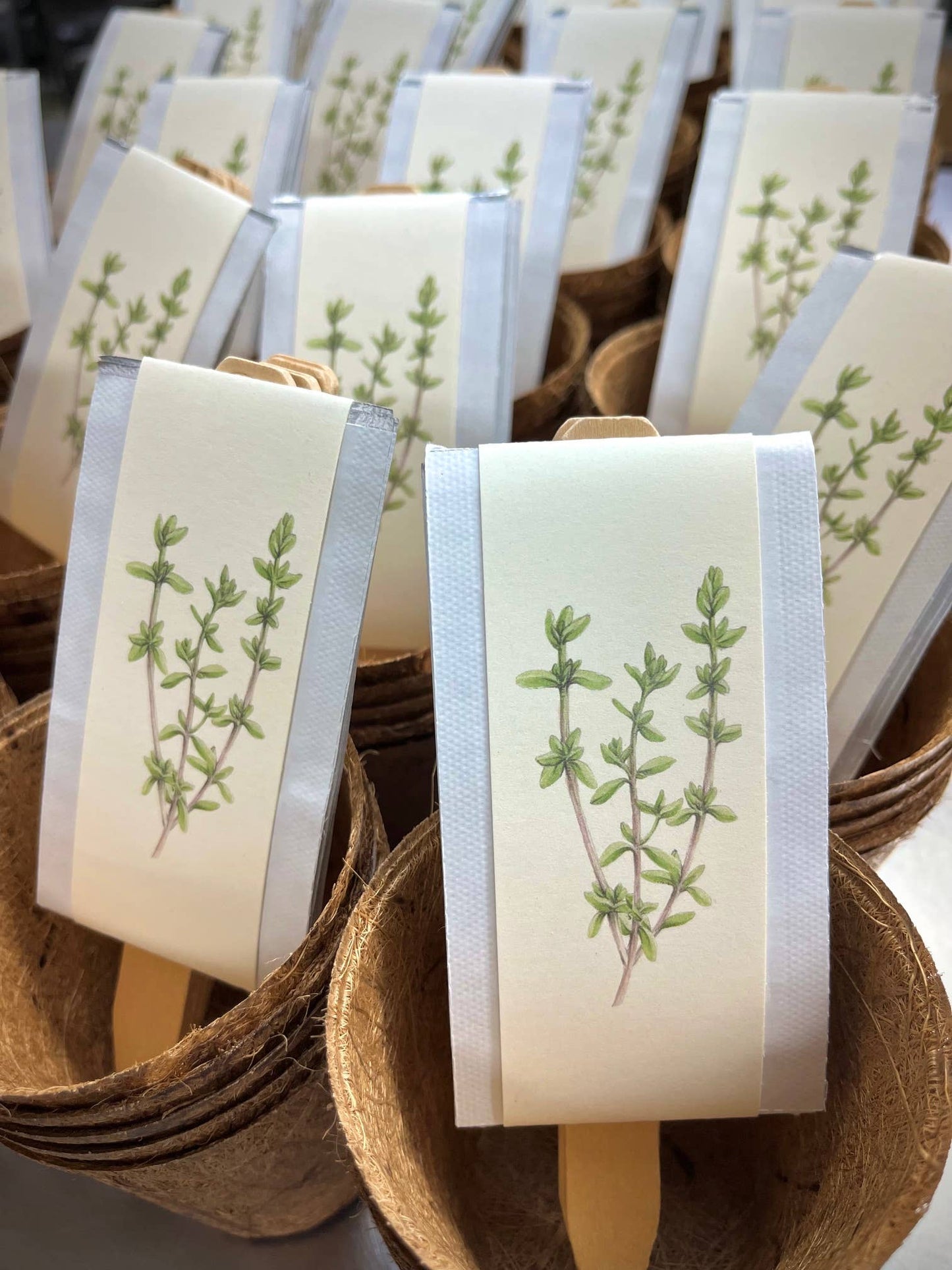 NEW Culinary Herb Garden Box | Thoughtful Summer Herb Kit
