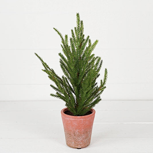 32303- 15.5inHx5inW Tree-Soft touch evergreen Norfolk pine