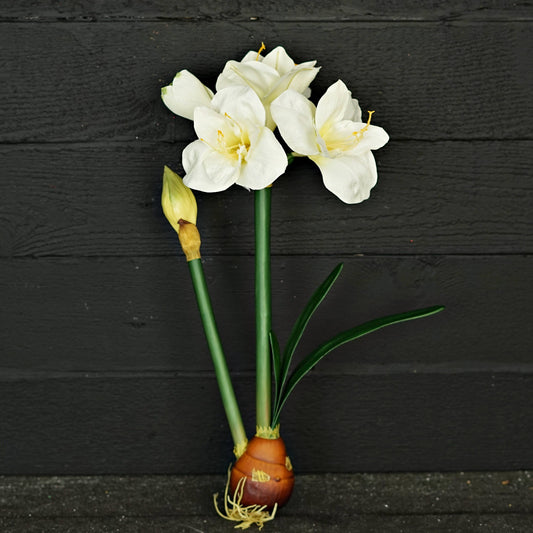 IT052CR- 22" Amaryllis bush x 4 w. bud and leaf
