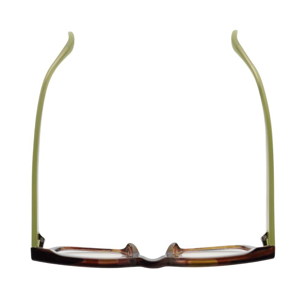 RAZ |Brown Green Stripes | Lime Green