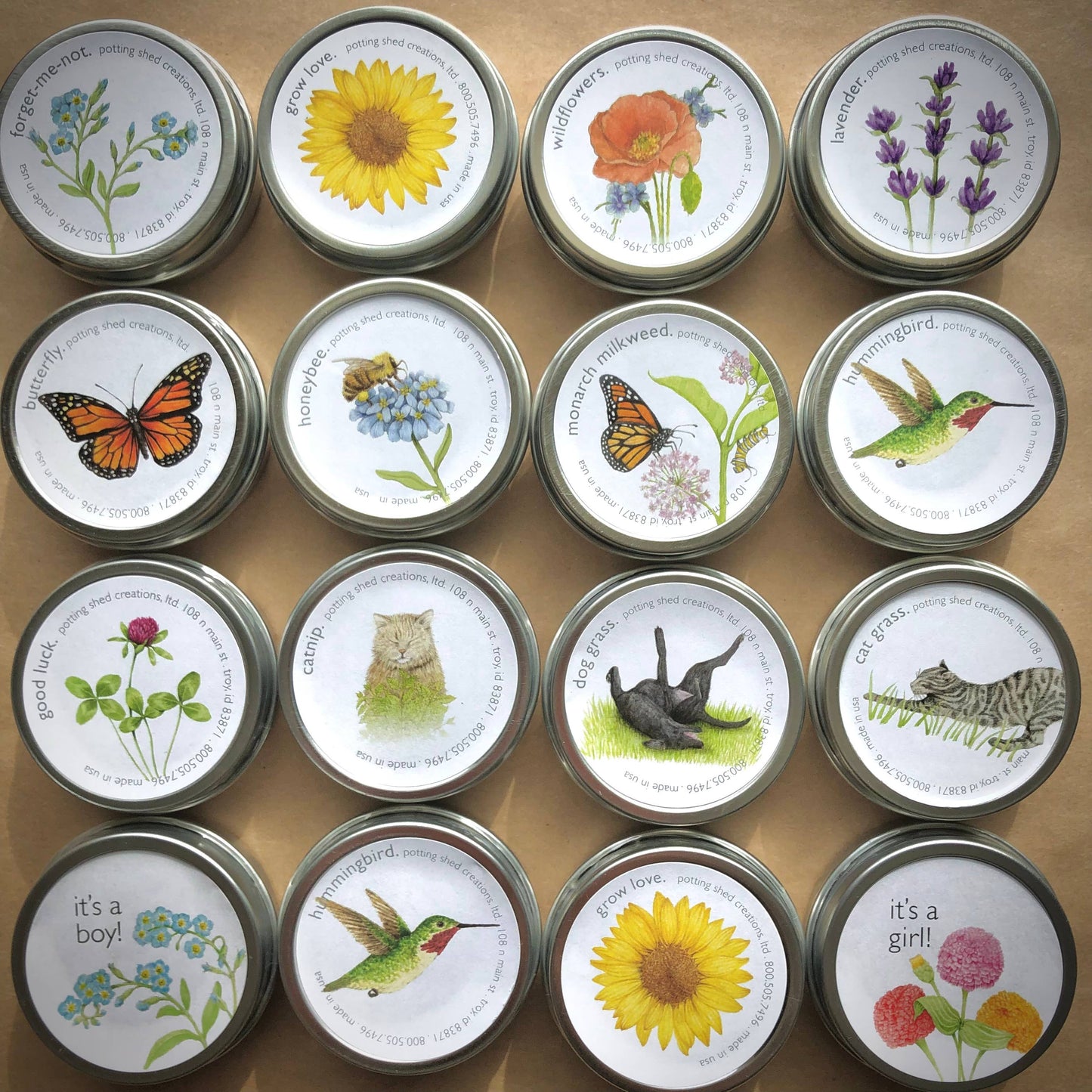 Garden Sprinkles Wildflowers | Best Seller | Summer flowers