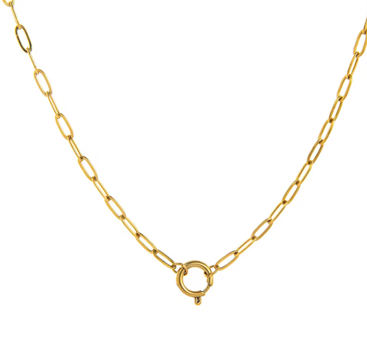 Clip it- Charm Collector Amulet Necklace 18K PVD Gold