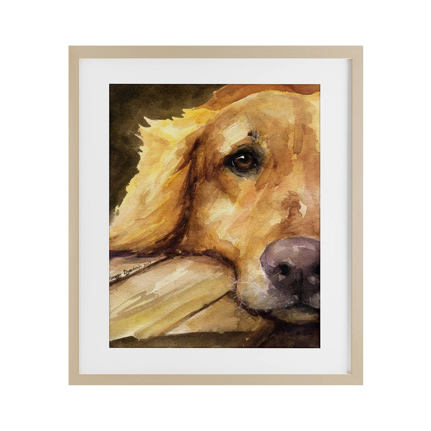 Sight of Golden Retriever - Print Under Glass Wall Art