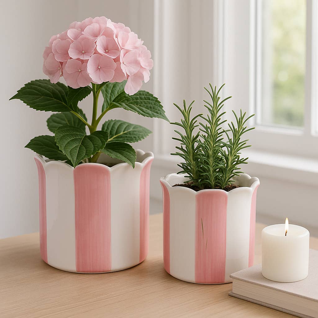 Pink Ceramic Striped Scallop,