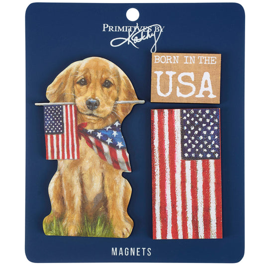 Born In The USA Magnet Set