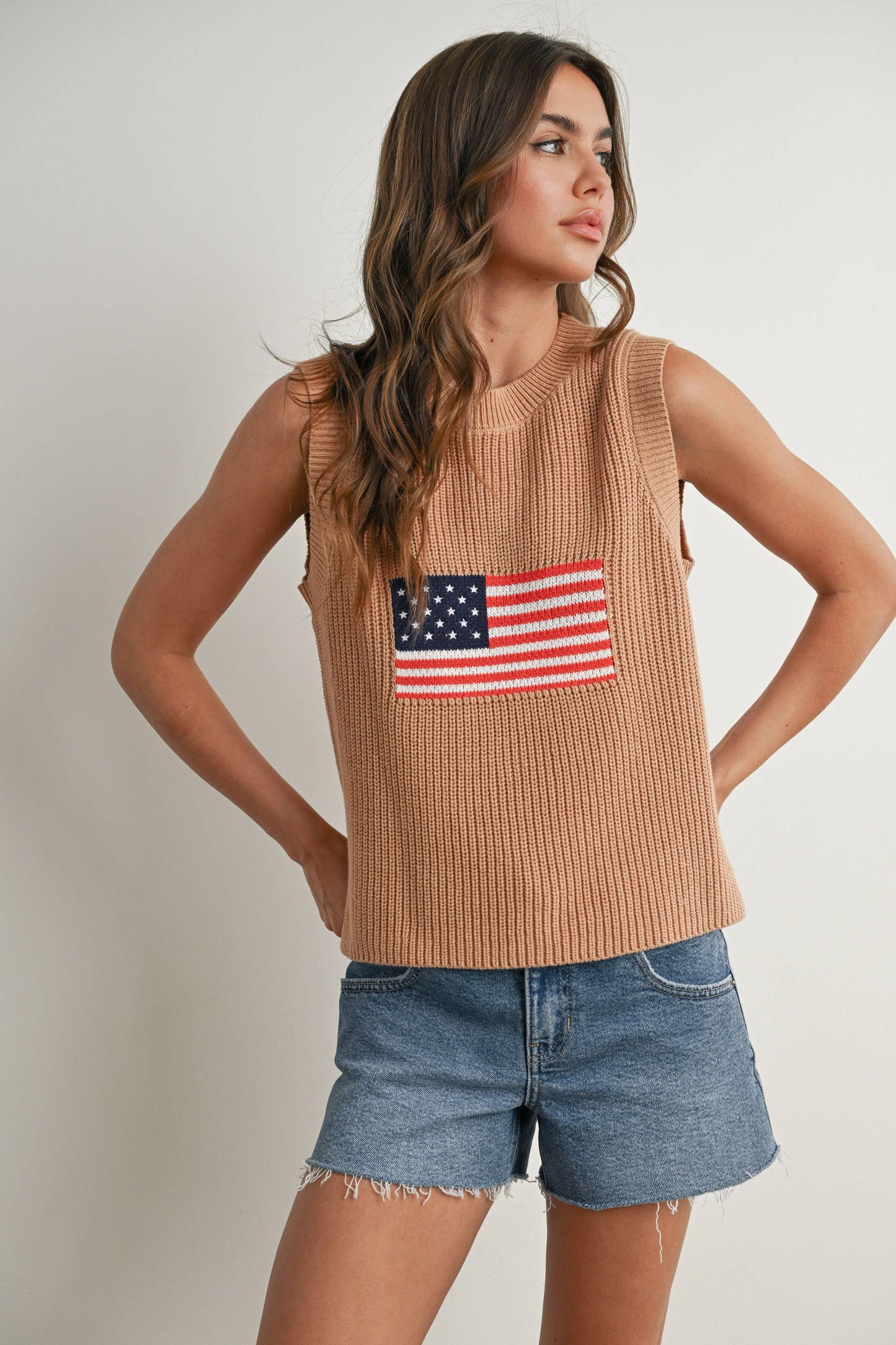 American Flag Knit Sleeveless Sweater