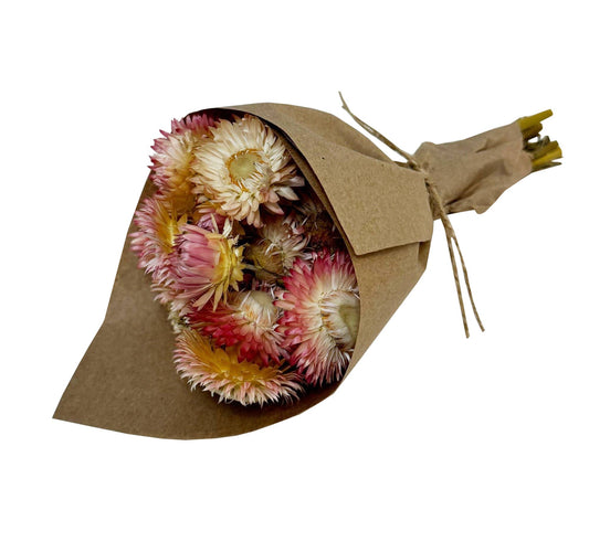 MINI Strawflower Bundle: Pink #172