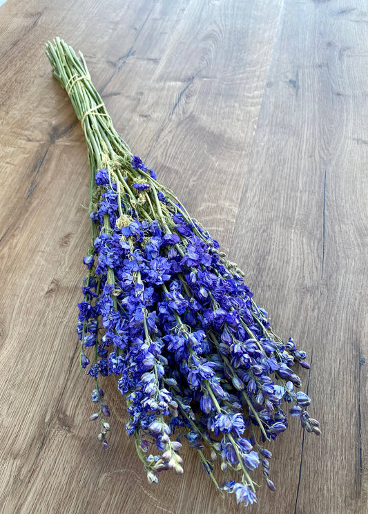 Larkspur - Dark Blue 