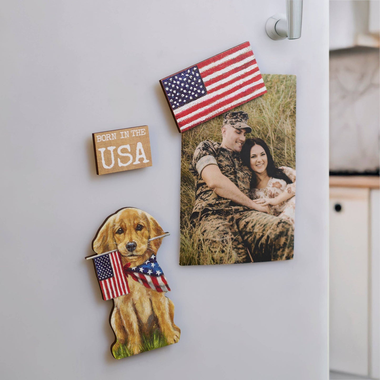Born In The USA Magnet Set