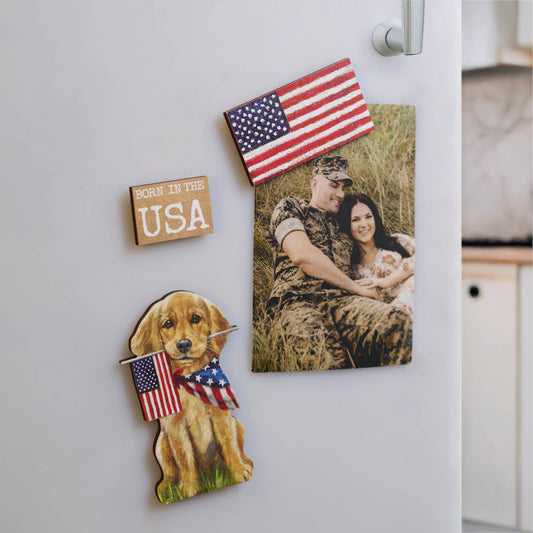 Born In The USA Magnet Set