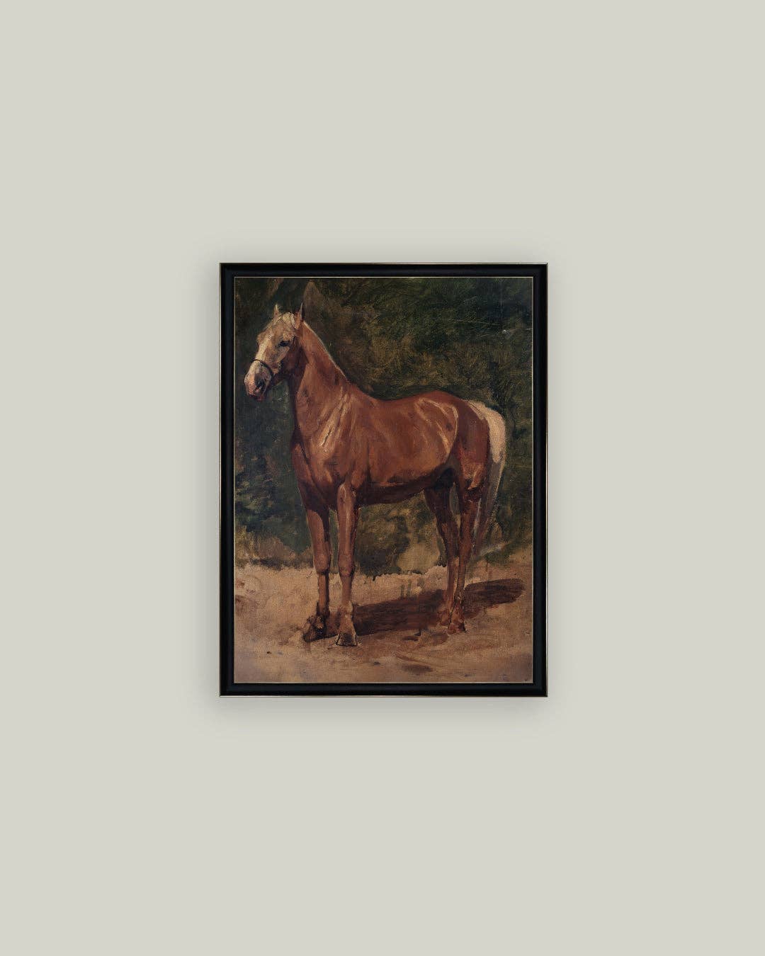 Chesnut Horse