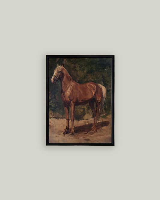 Chesnut Horse
