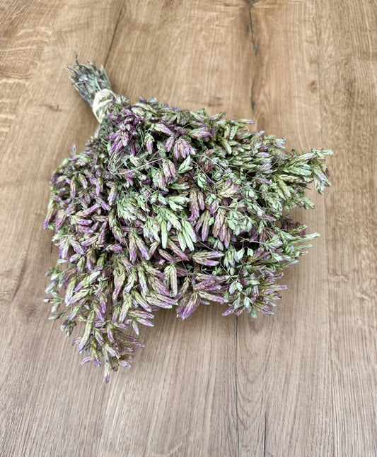 Santa Cruz Oregano