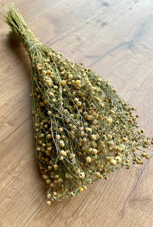 Flax 