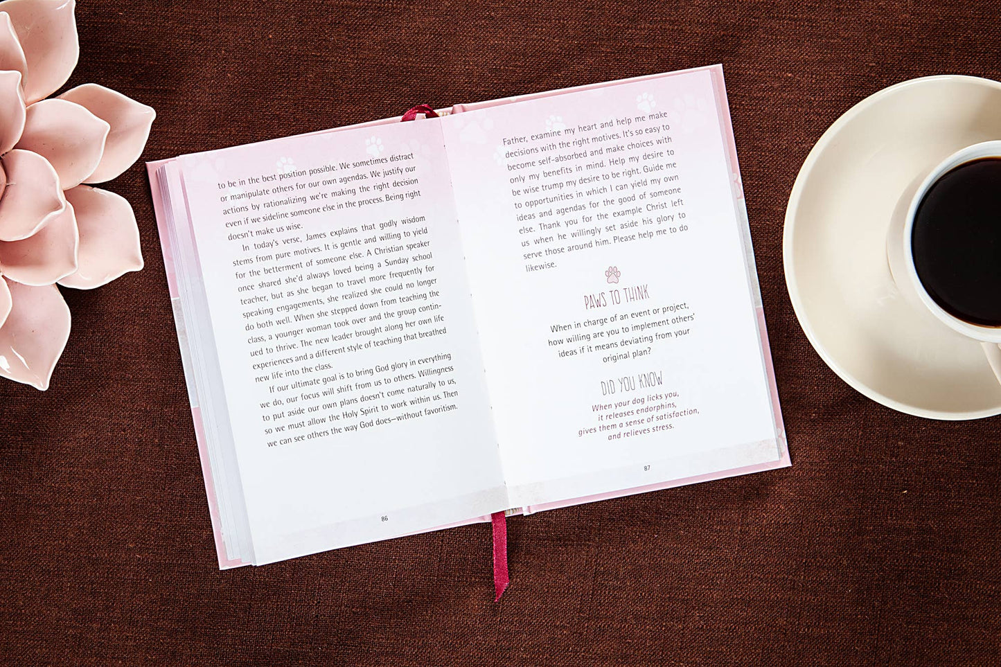 52 Devotions for Dog Moms (Devotional)