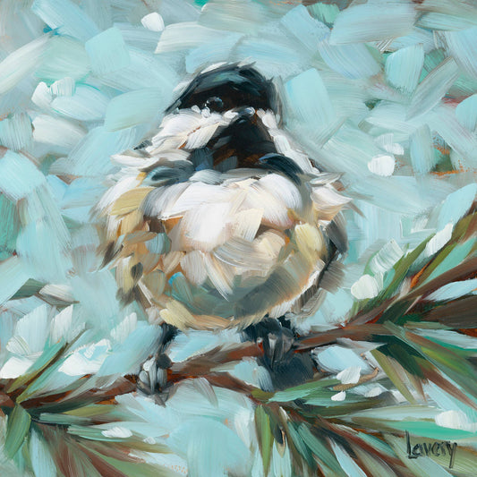 Chickadee In Pine Stretched Canvas
